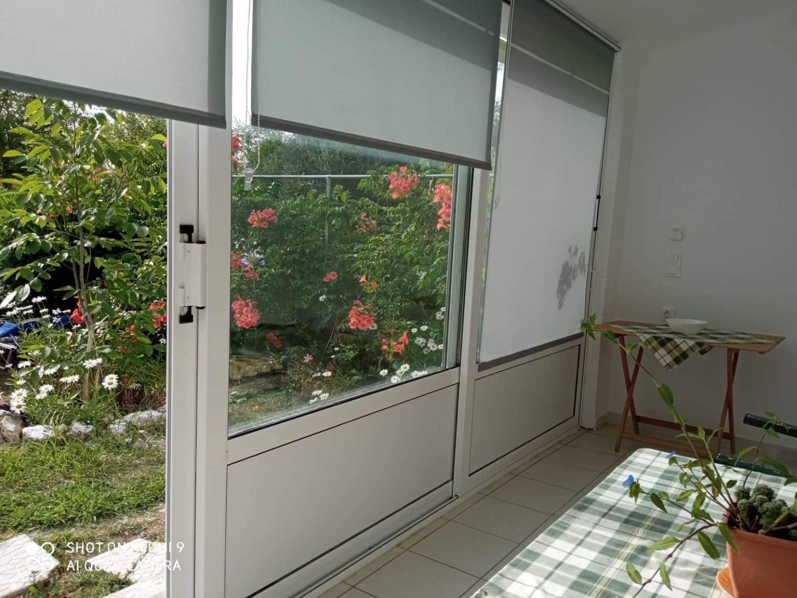 Errika Ypsos Quarto foto