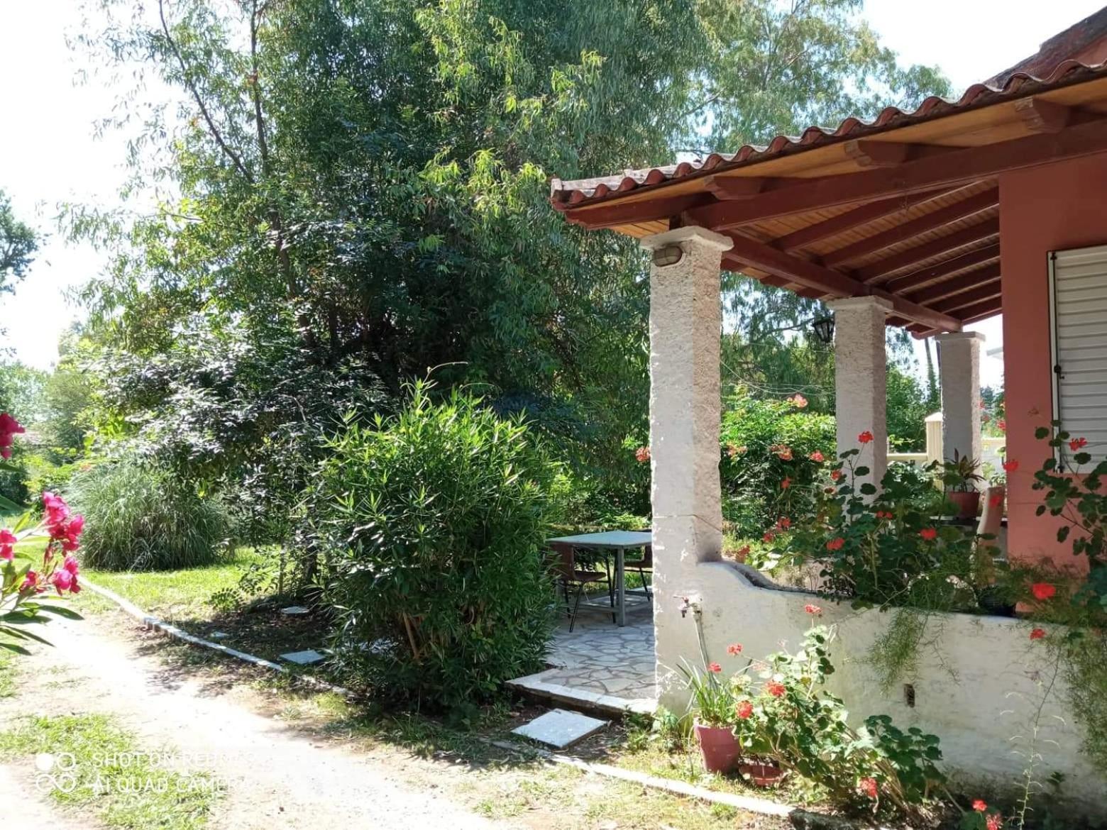 Errika Ypsos Quarto foto